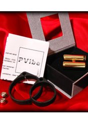 PVibe PVibe - Gold / Steel / Silver