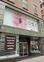   The Museum of Sex