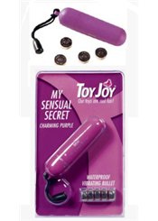 Toy Joy My Sensual Secret